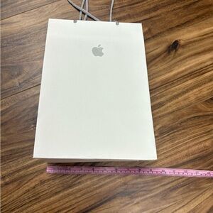 Apple Store medium paper gift bag, iPad size